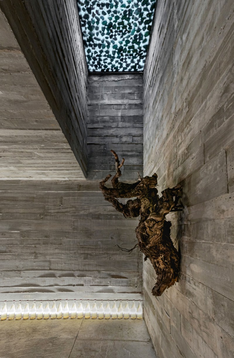 [Arias Garrido Arquitectos SLP - Winery expansion for Pinea Wine - IMG 10]