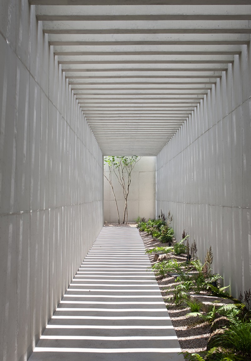 SMART ARCHITECTURE - Walking in Circles
