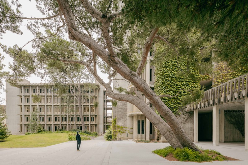 Marco Petrini - Muir building