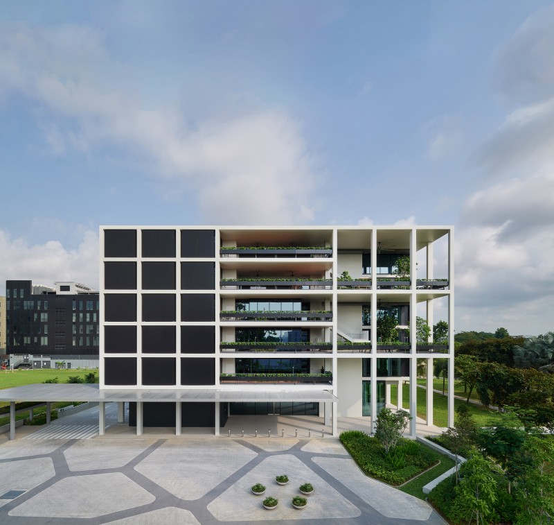 KAJIMA DESIGN - The GEAR