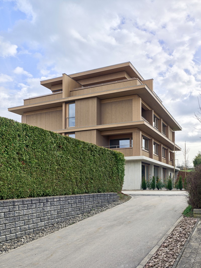 Rossetti+Wyss Architects - Totoro house in Beromuenster - Switzerland