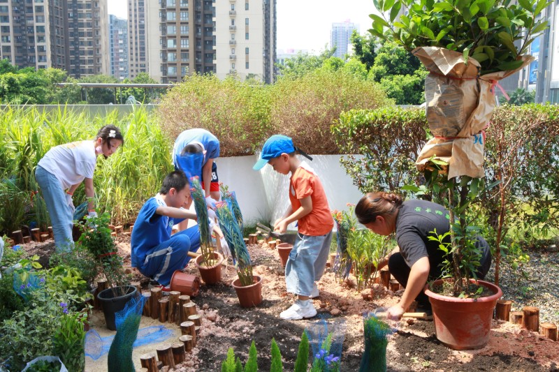 Shenzhen Dream Ecoland Landscape Co., Ltd. - Co- Building Gardens in Longgang District in 2022