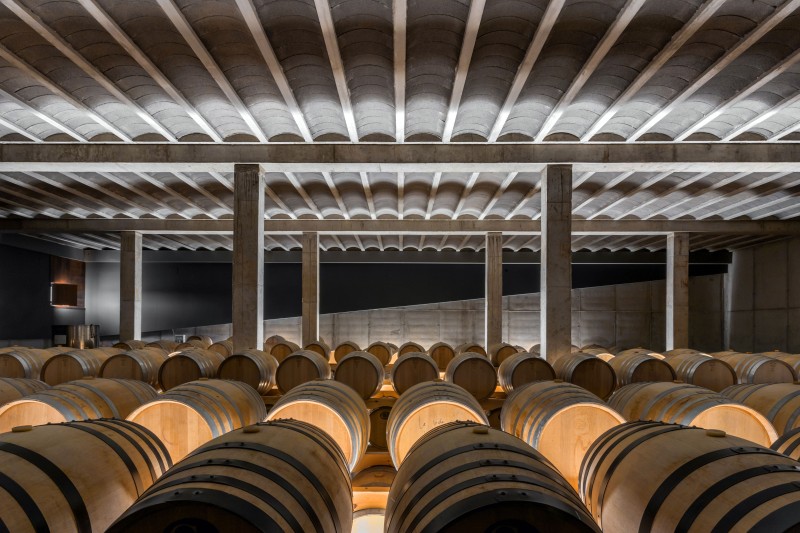 [Arias Garrido Arquitectos SLP - Winery expansion for Pinea Wine - IMG 7]