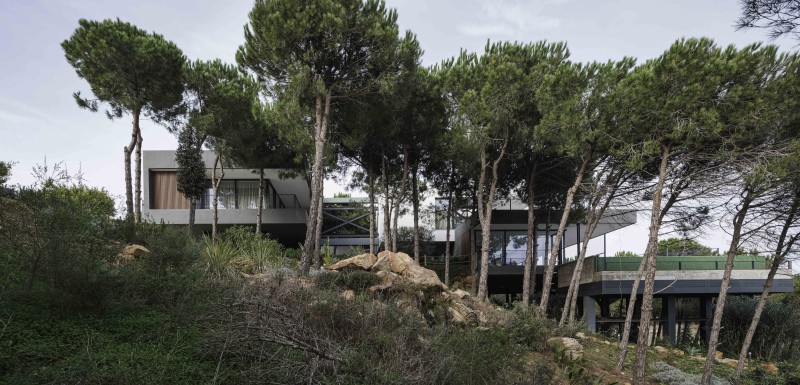 Flow81 - Villa Grazalema