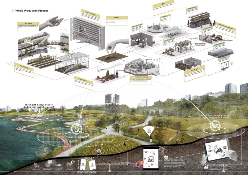 Baishuo Chen - Permanent Residency in the Fields: Productive Landscape Designs Under Smart Agricultural Model
