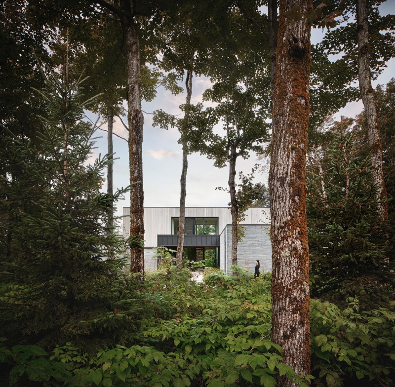 Nanne Springer - LA MAISON SHEFFORD