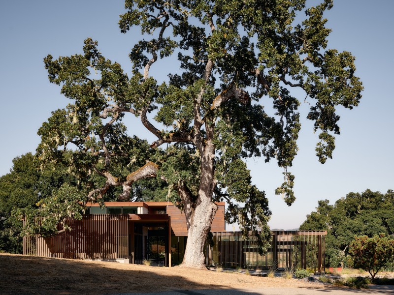 mark english architects - The Meadow House