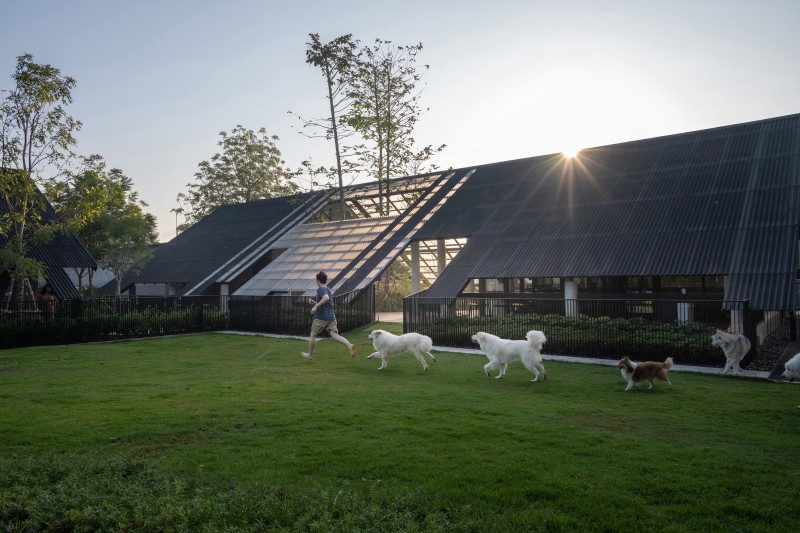 Landscape Architects 49 Limited - DOX HOUSE
