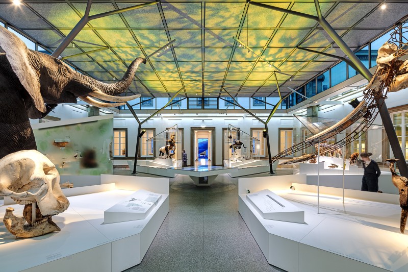 Ralph Appelbaum Associates - Natural History Museum Stuttgart