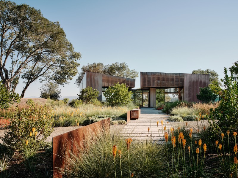 Field Architecture - Madrone Ridge