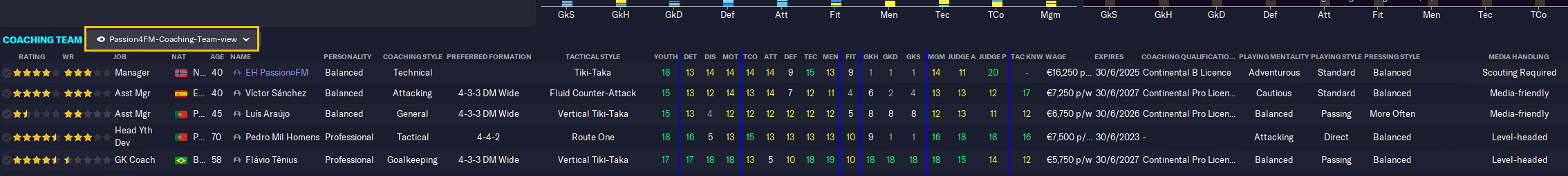 backroom staff squad view - Football Manager 2024 custom views