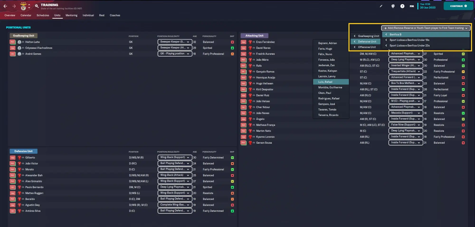 Managing training units - promote youth players to first team training